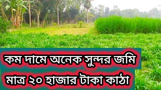 ২৫ সালের সেরা দামে জমি কিনুন মাত্র ২০ হাজার টাকা কাঠা! এতো সুন্দর জমি না কিনলে মিস করবেন!