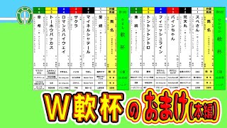 【「おひねり追撃」お願い致します！】＜W軟杯＞おまけ（本編）！（2025/2/9）