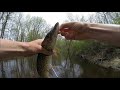 which bait works best river pike fishing