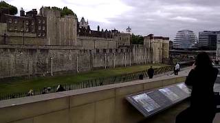 VID-20110515-00005