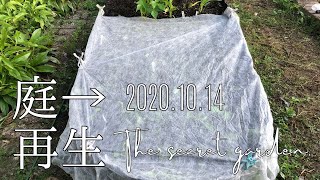 【2020.10.10〜14】ランブラーローズの挿し木と野菜ベッドの葉物植え付け