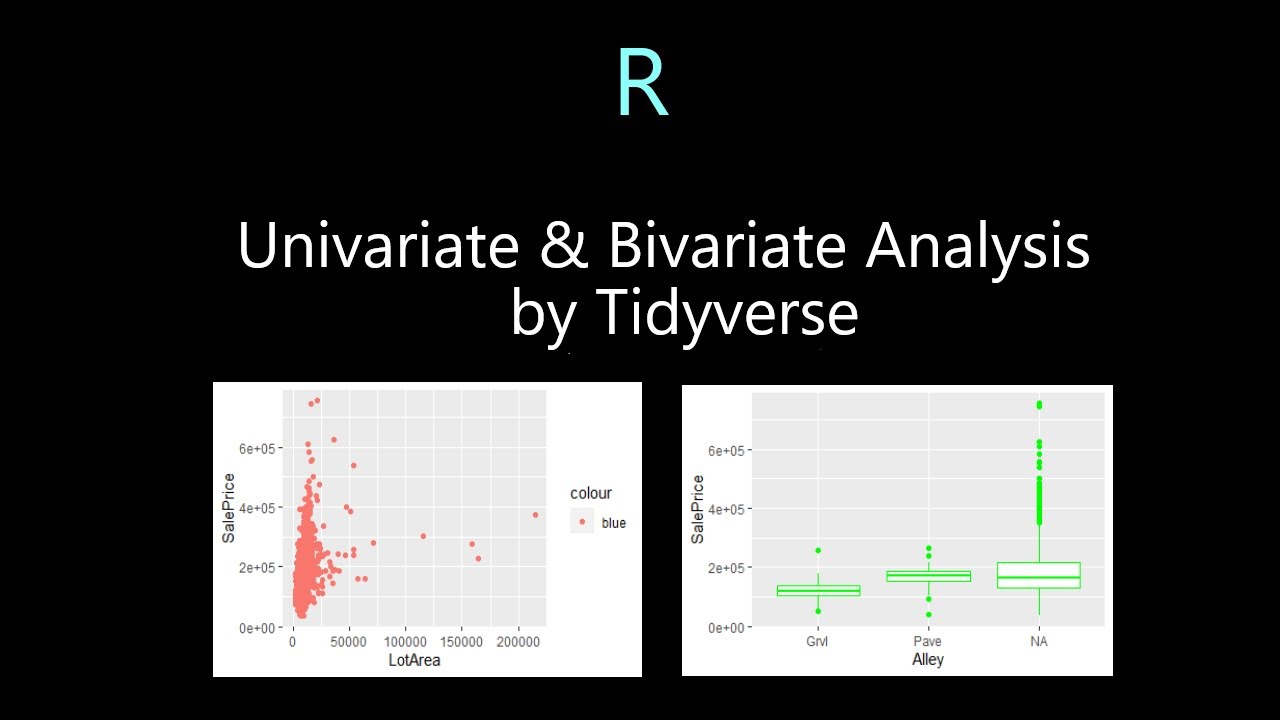 Univariate And Bivariate Analysis By Ggplot2 - YouTube