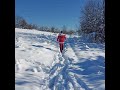 a journey through a snowy forest forest nature travel winter bulgaria snow снег природа