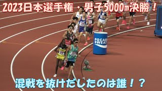 【4K】2023日本選手権・男子5000m決勝　※解説なし #遠藤日向選手 #塩尻和也選手 #佐藤圭汰選手 #清水歓太選手 #田村和希選手 #吉居大和選手 #上野裕一郎選手