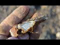 epic limb cast finding u0026 cutting one of my favorite petrified wood rounds ever rockhounding oregon