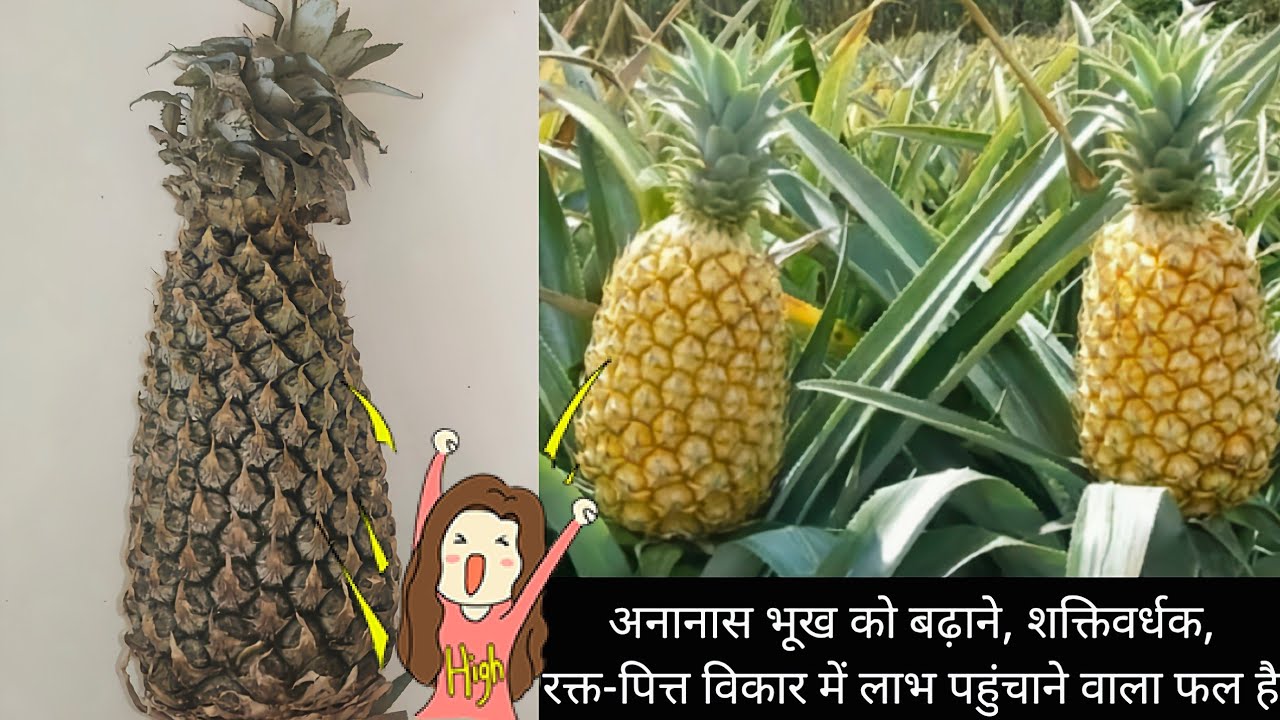 अनानास के सेवन से होने वाले 10 फायदे | Pineapples Benefits In Hindi ...