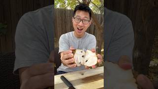 CHERIMOYA Taste Test! Can you believe this is a REAL fruit? #cherimoya