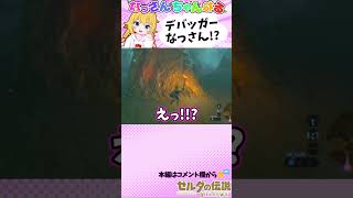 【ゼルダの伝説 ブレスオブザワイルド】なっさん、ブレワイにしては珍しいバグに遭遇してしまう【初見プレイ】 #shorts