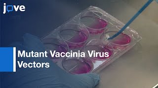 Mutant Vaccinia Virus Vectors Construction | Protocol Preview