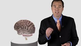 Lecture01 Scientific Secrets for Powerful Memory