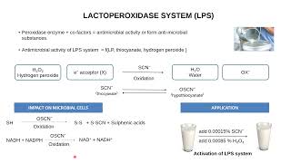 Milk Preservation in Underdeveloped Countries: An Introduction To Lactoperoixdase System