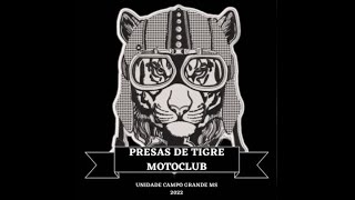 PRESAS DE TIGRES AO VIVO COM O PAPO CHURRASCO #1