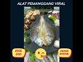 Pemanggang Viral