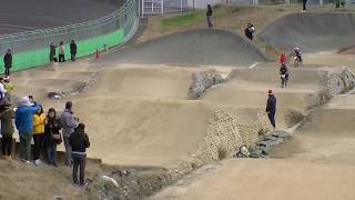 BMX　岸和田　阪本章史杯　3ヶ月未満　決勝　H29年度＃2