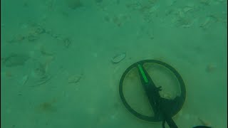 My most unbelievable ring return yet!!! Underwater metal detecting with the Blu3