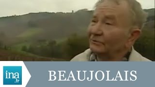 L'histoire du Beaujolais Nouveau - Archive INA