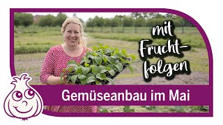 Unsere Fruchtfolgen im Garten | Gartenarbeit im Mai