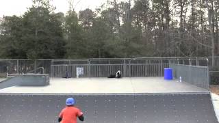 Look Mom No Hands!