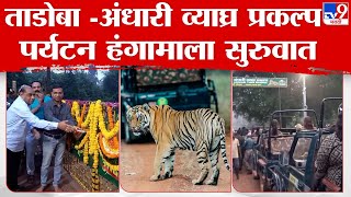 Chandrapur | ताडोबा-अंधारी व्याघ्र प्रकल्प पर्यटन हंगाम सुरु, स्थानिक अर्थचक्राला गती येणार