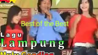 Muli Ganding Lagu Lampung