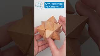 Skilltoyz IQ Wooden 3D Puzzle 3 \