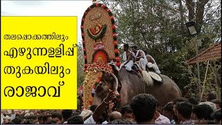 Thechikottukavu Ramachandran, തെച്ചിക്കോട്ടുകാവ് രാമചന്ദ്രന്‍, Kerala pooram 2023, രാജാവ്‌