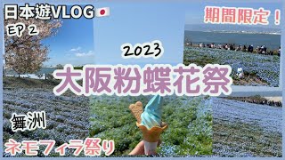 大阪遊2023 ep2 | 大阪粉蝶花祭，人山人海！| 舞洲海濱公園，花海 期間限定 | 樱花 | ネモフィラ祭り 2023 | 4月日本自由行，大阪景點