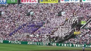 2018選手権大会応援　大阪桐蔭　夏疾風