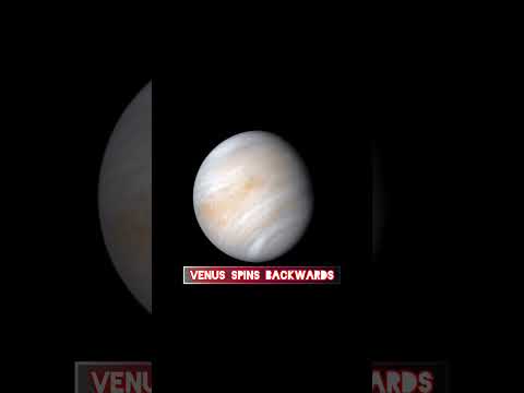 Venus Spins Backwards #shortvideo #shorts #viral #best - YouTube