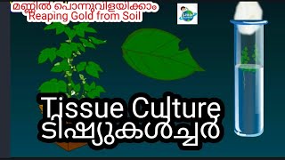 Basic Science Std 7 | Tissue Culture | ടിഷ്യുകൾച്ചർ |   | Littlle Scientist