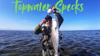 CATCHING Monster Speckled Trout on TOPWATER!