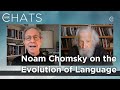 Noam Chomsky on Linguistic Theories and the Evolution of Language (Part 3) | Closer To Truth Chats