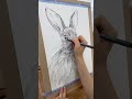 펜으로 토끼 그리기 🐰🤍 원데이클래스 art 정규반 painting 세종취미미술 세종원데이 보람동화실 세종화실 반려동물그리기 그림 세종데이트 drawing