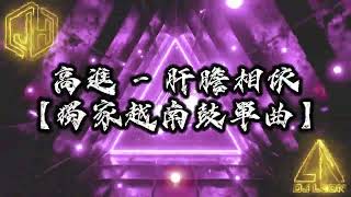 【越南鼓 Remix】高進 - 肝膽相依「好男人一言九鼎，同行路肝膽相依」