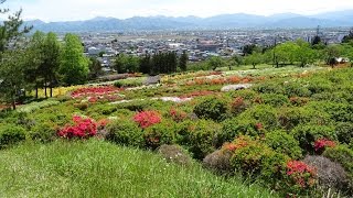 山形・寒河江高校前～(新設道路)～つつじ園(長岡山駐車場)