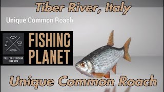 Unique Common Roach - Tiber River Italy - Fishing Planet Guide