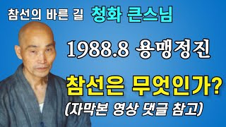 참선이 무엇인가 바른견해 바른정견 | 돈오돈수 돈오점수 참선 화두 묵조 염불선 | 청화스님 법문 19880807 태안사 하안거용맹정진입제