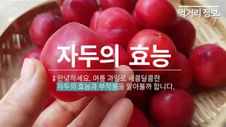 피로회복, 갱년기 ,여름철 입맛없을때, 대사증후군에 좋은~ 자두의 효능 부작용