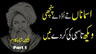 Baba Bulleh Shah Kalam Part 1 bulleh shah shayari  Punjabi Kalam Bhully Shah Hamid Ali Urdu Poetry