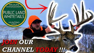 Join Our Channel Today | Public Land Whitetails | Big Public Bucks | Hunting Show Videos