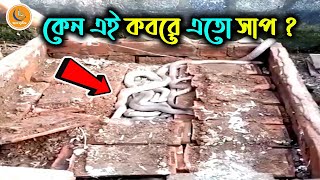 Koborer ajab || কবরে সাপ || Kobore sap || কবরের আজাব || Koborer azab ||  Koborer ajab keno hoy