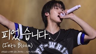 [241120 Love in seoul] 엔플라잉 이승협 직캠| N.flying - 피었습니다.(Into Bloom)