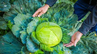 Gobierno logra reformas a FIDEAGRO