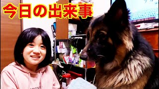 孫娘とシェパードマック・学校終わった何して遊ぼうか♪【VLOG】