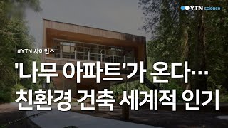 '나무 아파트'가 온다…친환경 건축 세계적 인기 / YTN 사이언스