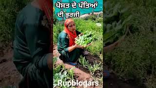 अफ़ीम के पत्ते की सब्जी  ਪੋਸਤ ਦੇ ਪੱਤਿਆਂ ਦੀ ਸਬਜ਼ੀ