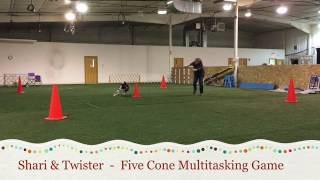 Twister 5 Cone Game