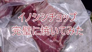 イノシシチョップを美味しそうに焼いてみた：ゴーシ先生チャンネル日常編