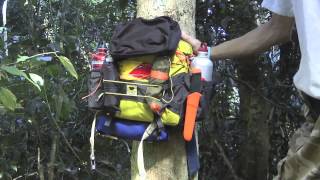 Wildland and lumbar packs