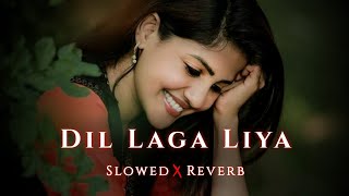 Dil Laga Liya [ Slowed + Reverb ] Udit Narayan | Alka Yagnik | Old Hindi Song | Aini Lofi